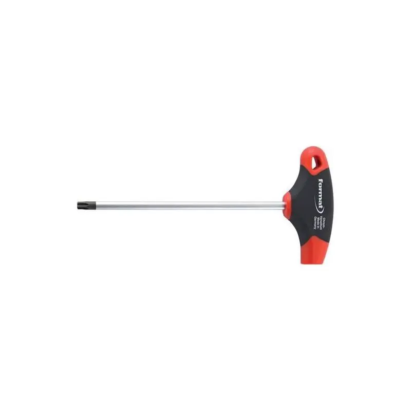 Nově přidáno | Format Šroubovák Torx T 20x100 mm s rukojetí T