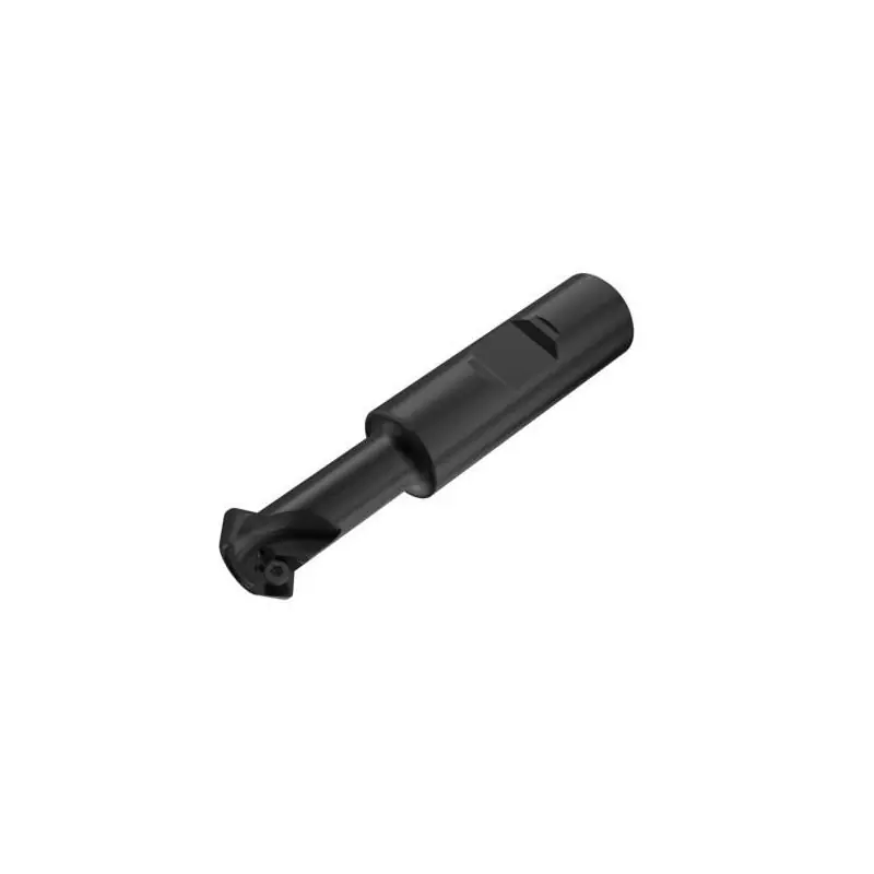 R215.49-1609.3-06 Fréza (těleso) ISO | Žádaný produkt