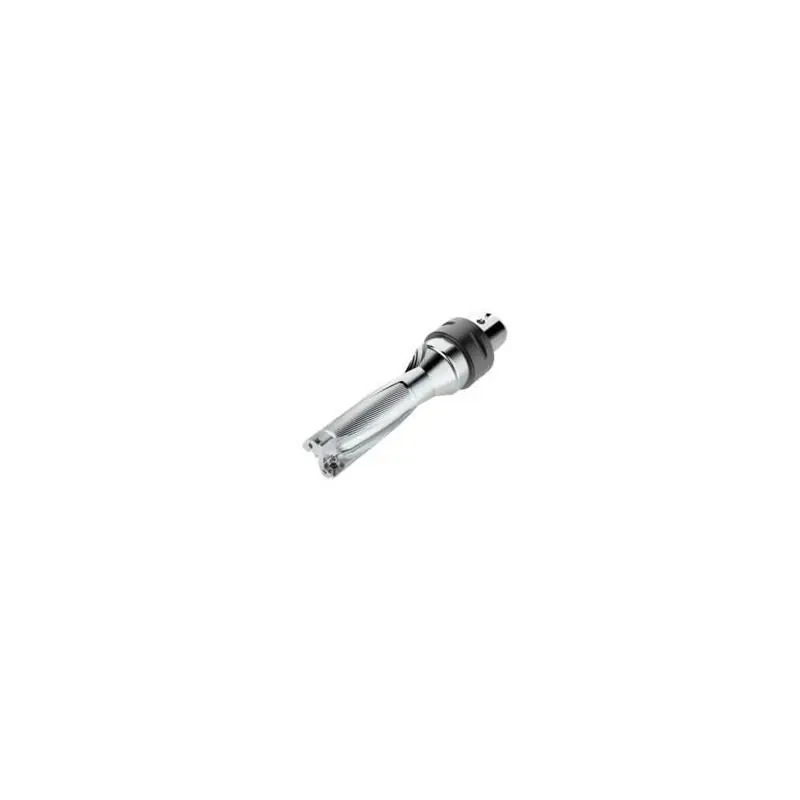 Prémiová kvalita | SD523-20-60-C5 Vrták destičkový (s VBD)