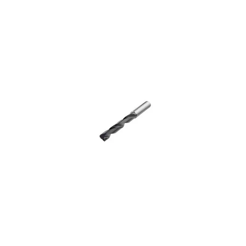 Akční sleva | SD205A-0365-023-06R1-P Vrták monolitní Feedmax SD2xx