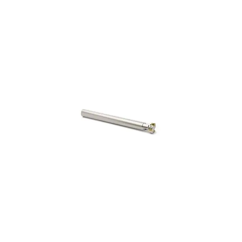R217.79-2025.0-XO12-2AN Fréza (těleso) ISO - Outlet