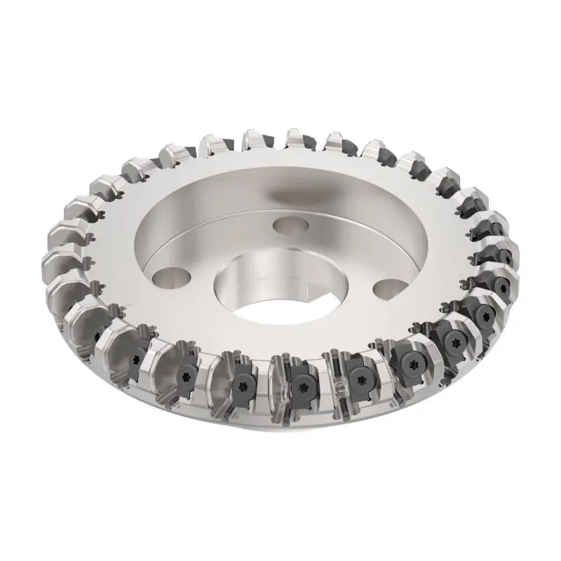 R220.48-8250-09-30M Fréza (těleso) Octomill pro čelní frézování - Špičkový produkt