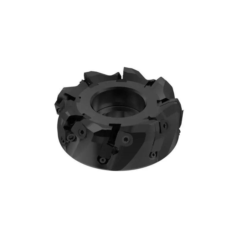 R220.60-0080-19-5CM Fréza (těleso) - Připraveno k odeslání