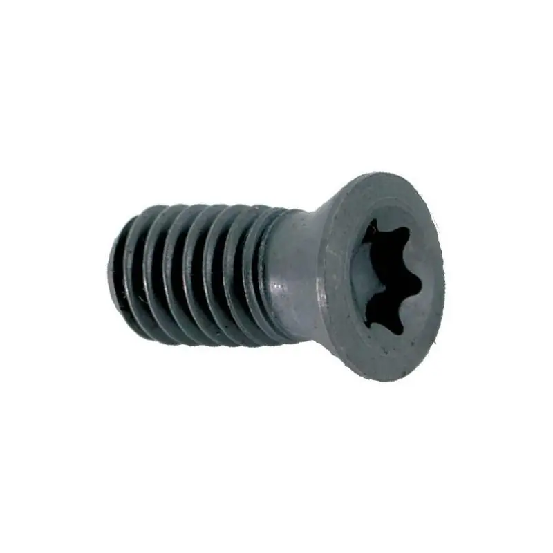 Přidat do košíku | Torx šroubek APKT1003