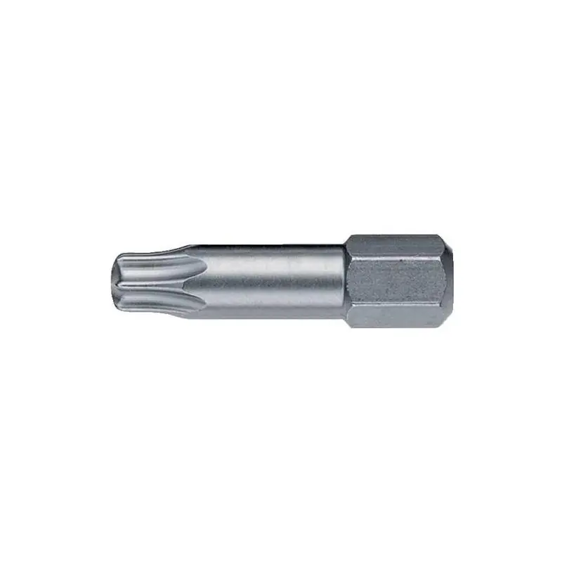 Bit 1/4" DIN 3126 C 6,3 T25x 25 mm Torsion Format - Kvalitní produkt