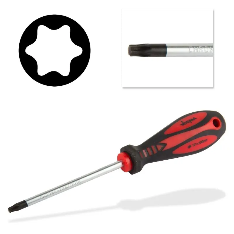 Jen dnes | DEMA Šroubovák torx T27x6x100