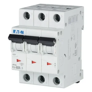 Jistič PL6 - B25/3 000286591 | Časově omezená nabídka