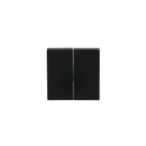 Kryt 2násobný pro smart switch (BLE, FoH) | Lze objednat