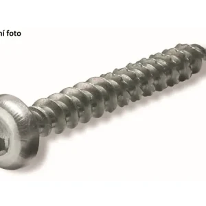 Vysoká kvalita - Víceúčelový torxní vrut 4 x 30 mm T20 (200 ks)